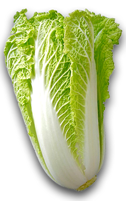 韓式泡菜